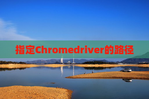 指定Chromedriver的路径